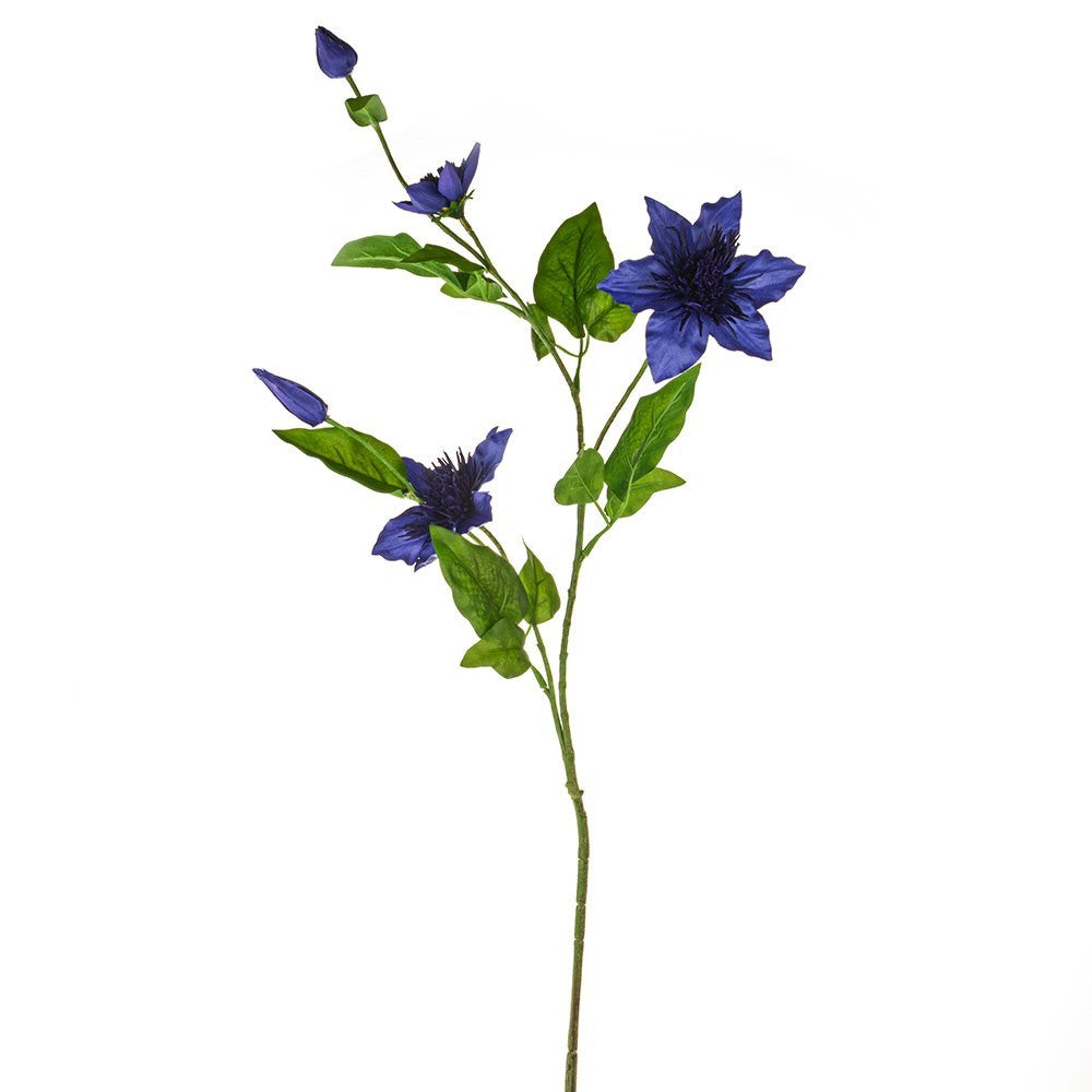Discover the Dark Blue Elsa Clematis (79cm) at Bristow Direct