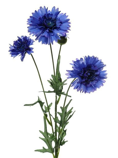Blue Cornflower Spray
