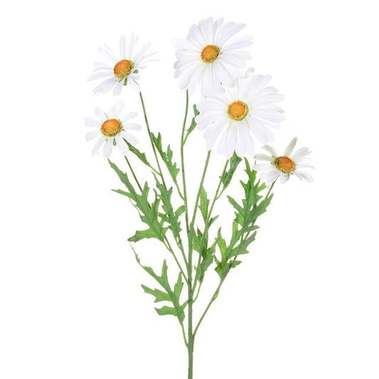 White Daisy Spray