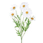 White Daisy Spray