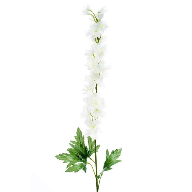 Discover the Delphinium Cream (90cm) at Bristow Direct