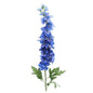 Blue Delphinium