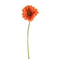 Orange Gerbera (59cm)