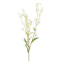 White Gypsophila