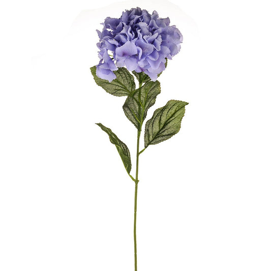 Lilac Elsa Hydrangea