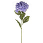 Lilac Elsa Hydrangea