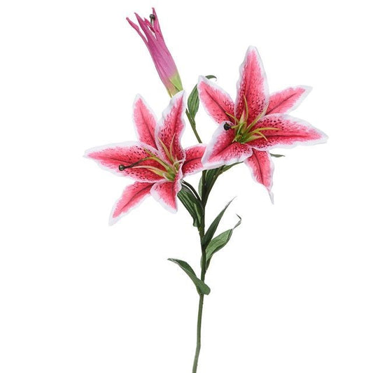 Pink Cameo Casa Stargazer Lily