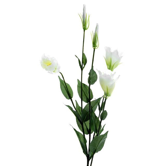 Ivory Lisianthus Spray