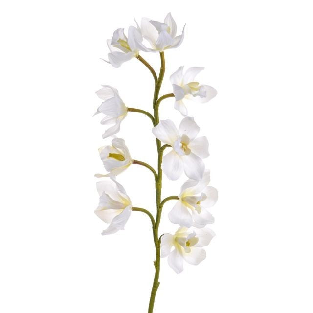 Discover the Orchid Cymbidium White (54cm) at Bristow Direct