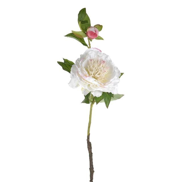 Discover the Cream Peony Silk Flower (60Cm) at Bristow Direct