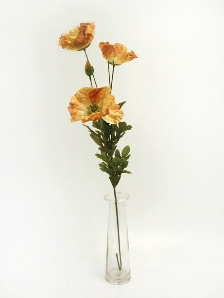 Discover the Brown Amber Poppy (73cm) at Bristow Direct