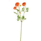 Orange Fiesta Ranunculus (66cm)
