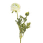 Cream Ranunculus (38cm)