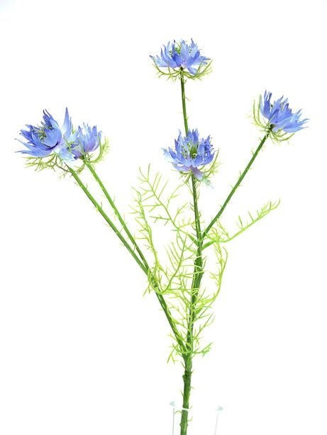 Discover the Blue Nigella Spray (57cm) at Bristow Direct