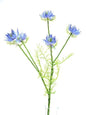 Discover the Blue Nigella Spray (57cm) at Bristow Direct
