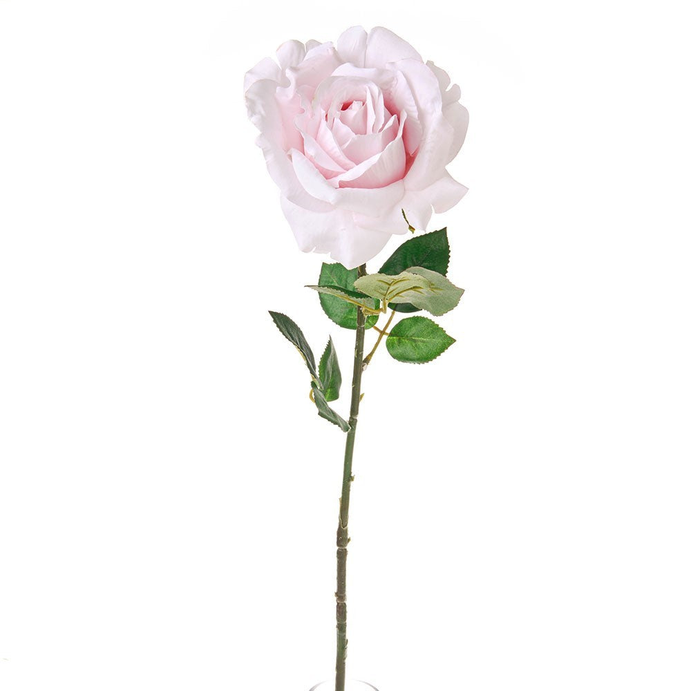 Discover the Pink Luna Rose (64cm) at Bristow Direct