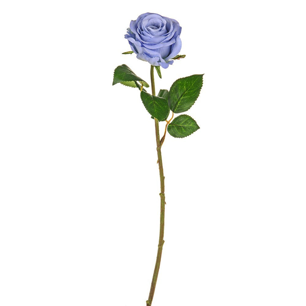 Pale Blue Elsa Rosebud