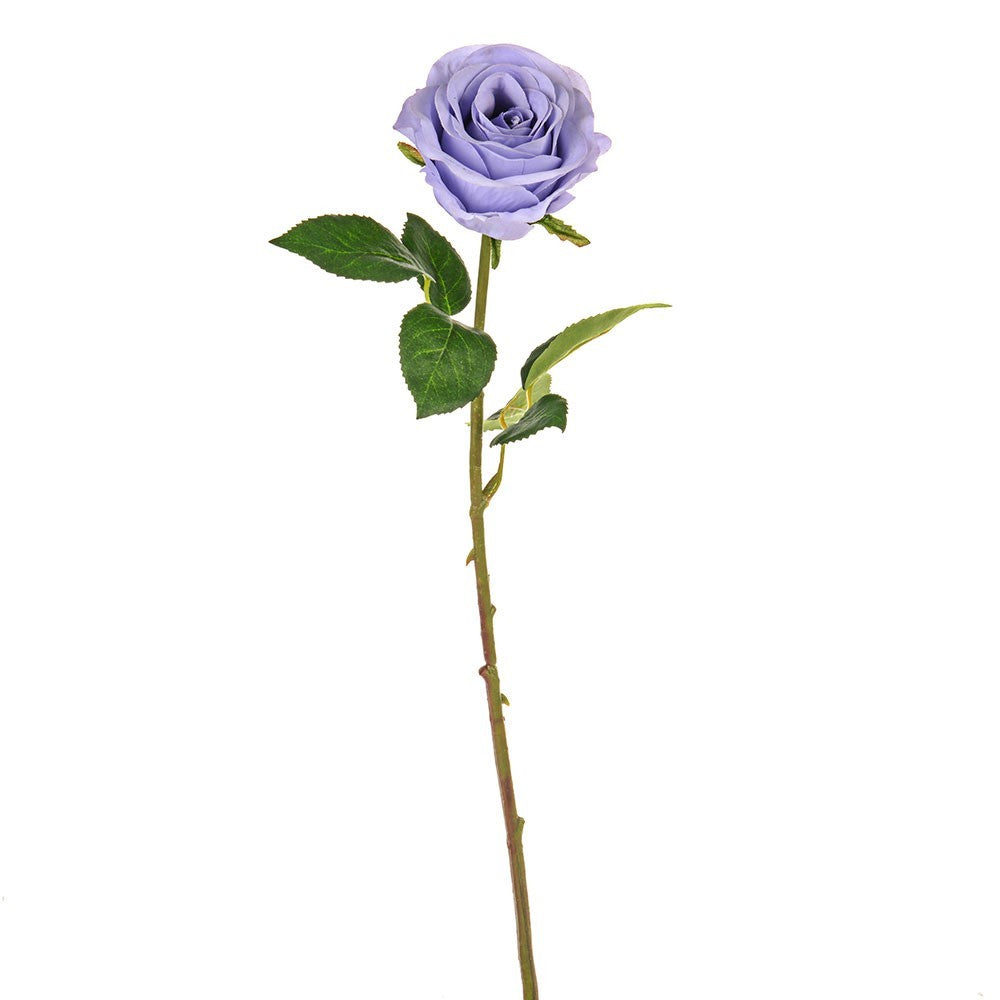 Lilac Elsa Rosebud