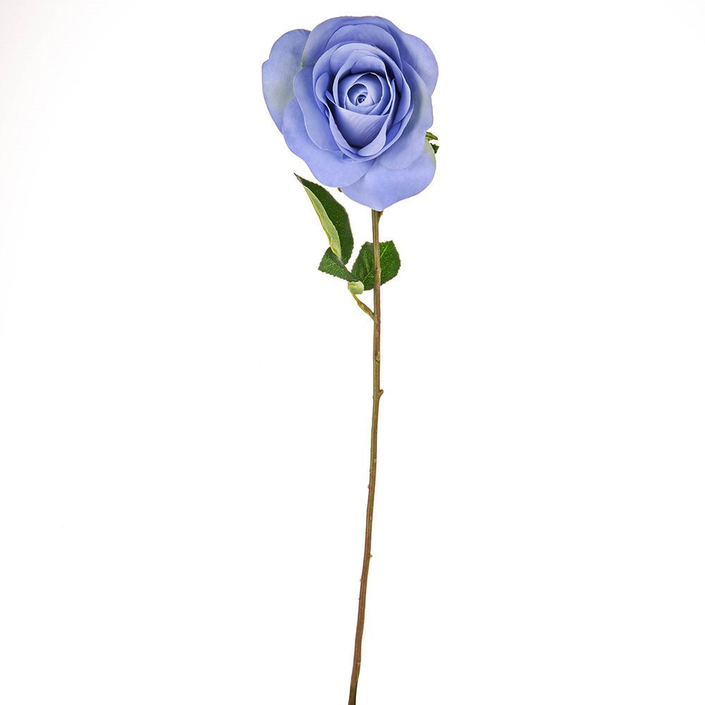 Discover the Pale Blue Elsa Open Rose (58cm) at Bristow Direct