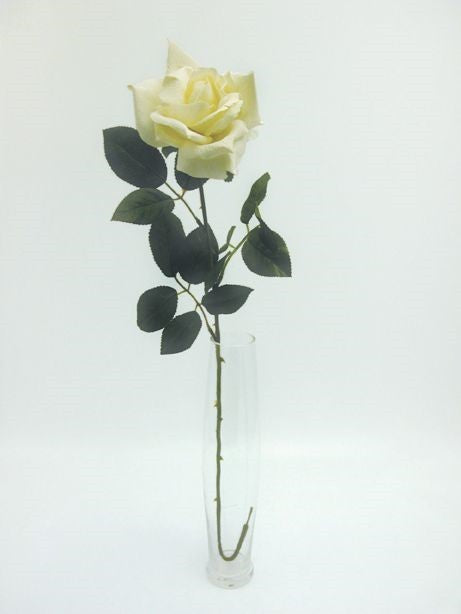 Cream Premium Rose Large (71cm)