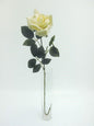 Cream Premium Rose Large (71cm)