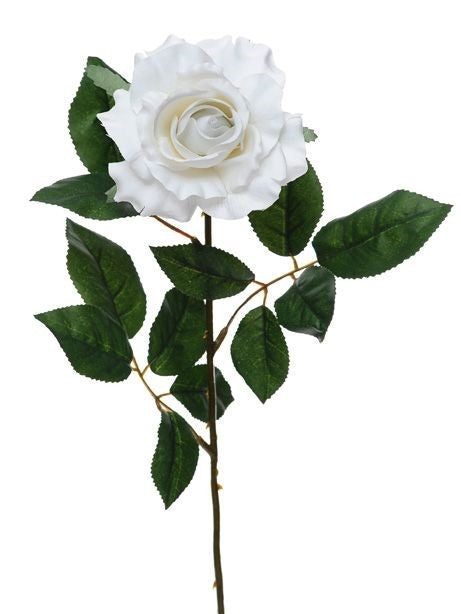 White Premium Rose Medium (69cm)