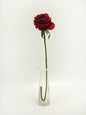 Red Prize Rose (64cm)
