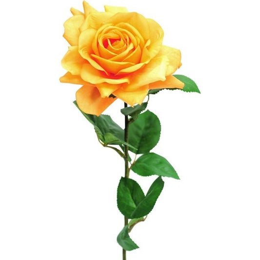 Discover the Orange Pippa Rose Open (68cm) at Bristow Direct