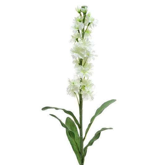 Discover the Cream Stocks (87cm) at Bristow Direct