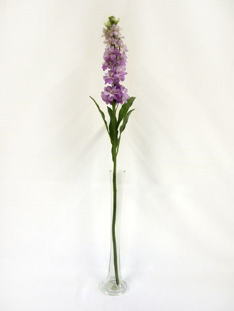 Discover the Lavender Stocks (87cm) at Bristow Direct