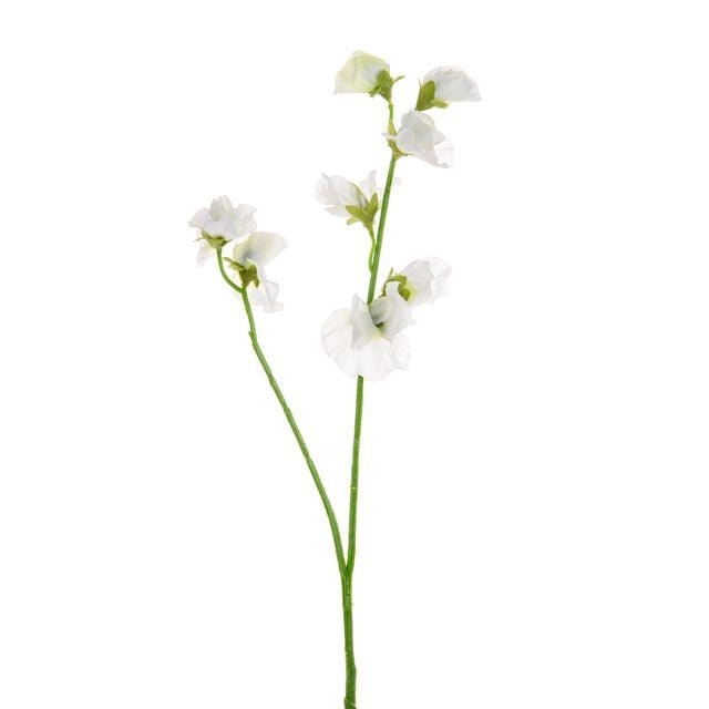 Discover the Sweetpea Stem Cream at Bristow Direct