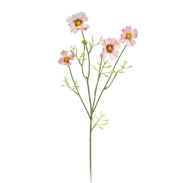 Discover the Pale Pink Cosmos Spray (68cm) at Bristow Direct