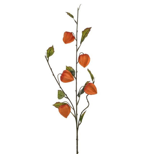 Orange Chinese Lantern