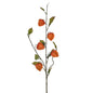 Orange Chinese Lantern