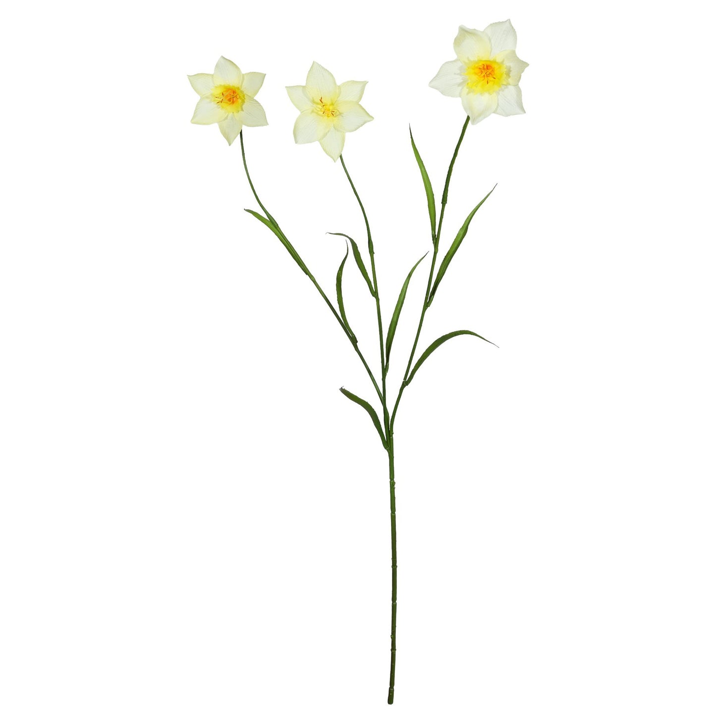 Discover the Yellow Daffodil Spray (70cm) at Bristow Direct