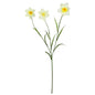 Discover the Yellow Daffodil Spray (70cm) at Bristow Direct