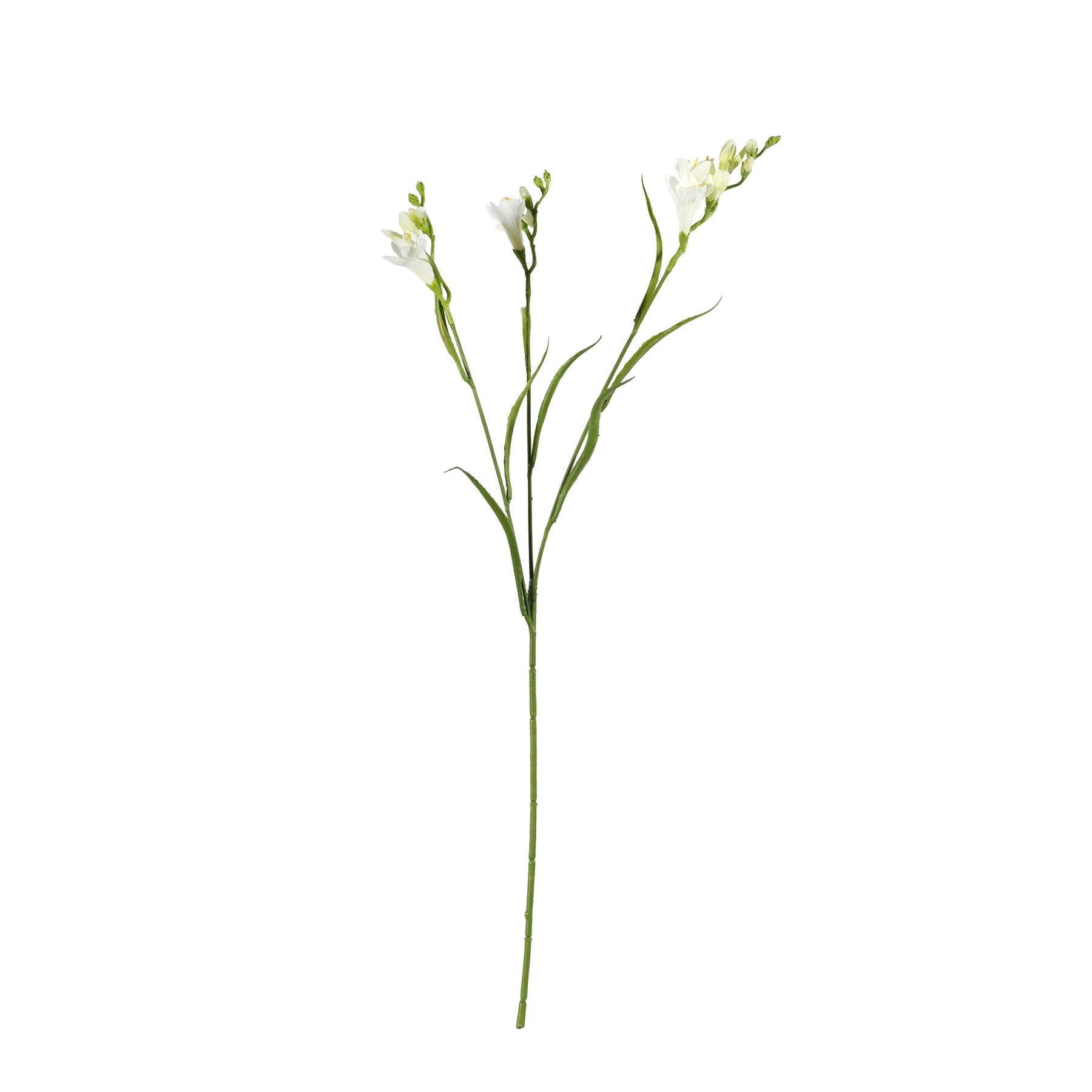 Discover the White Freesia Spray 3 Heads (63cm) at Bristow Direct