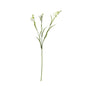 Discover the White Freesia Spray 3 Heads (63cm) at Bristow Direct