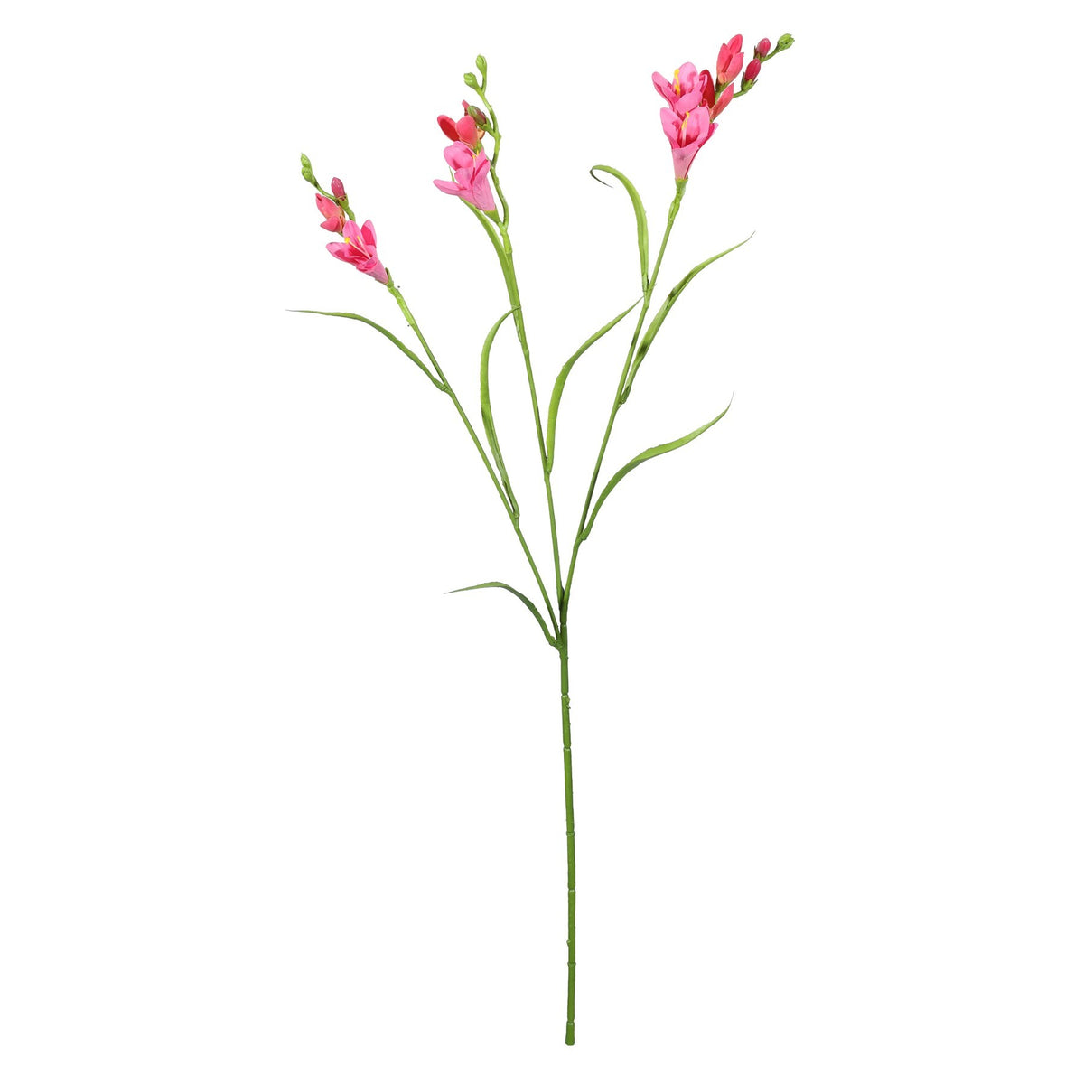 Discover the Dark Pink Freesia Spray (63cm) at Bristow Direct