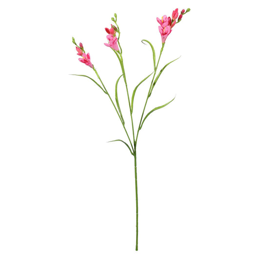 Discover the Dark Pink Freesia Spray (63cm) at Bristow Direct