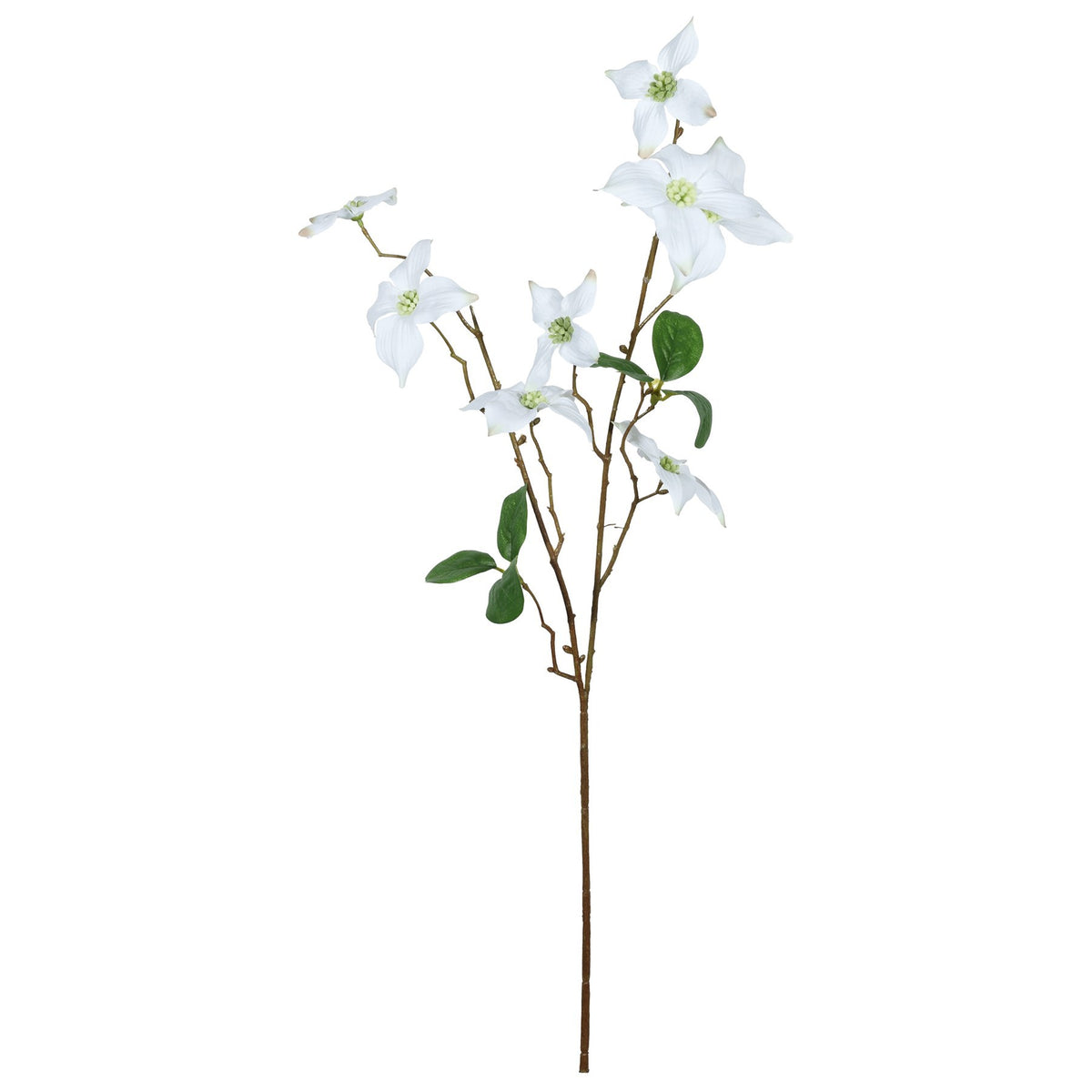 Discover the Cream Dogwood Flower Spray (68cm) at Bristow Direct