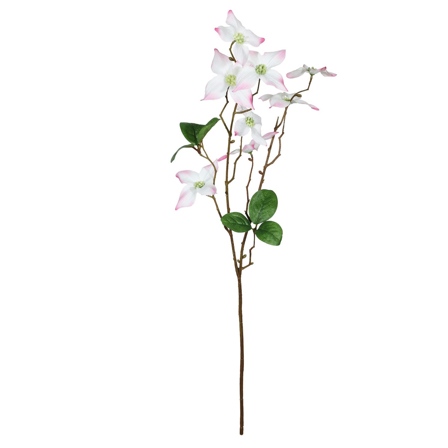 Discover the Pink Dogwood Flower (68cm) at Bristow Direct