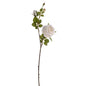Discover the Pure White Rose Spray (64cm) at Bristow Direct