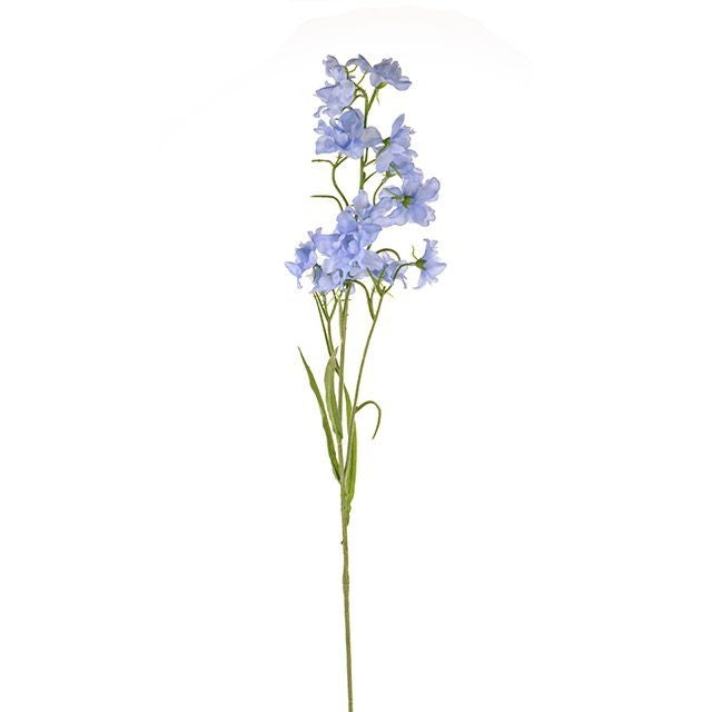 Pale Blue Elsa Delphinium (76cm)