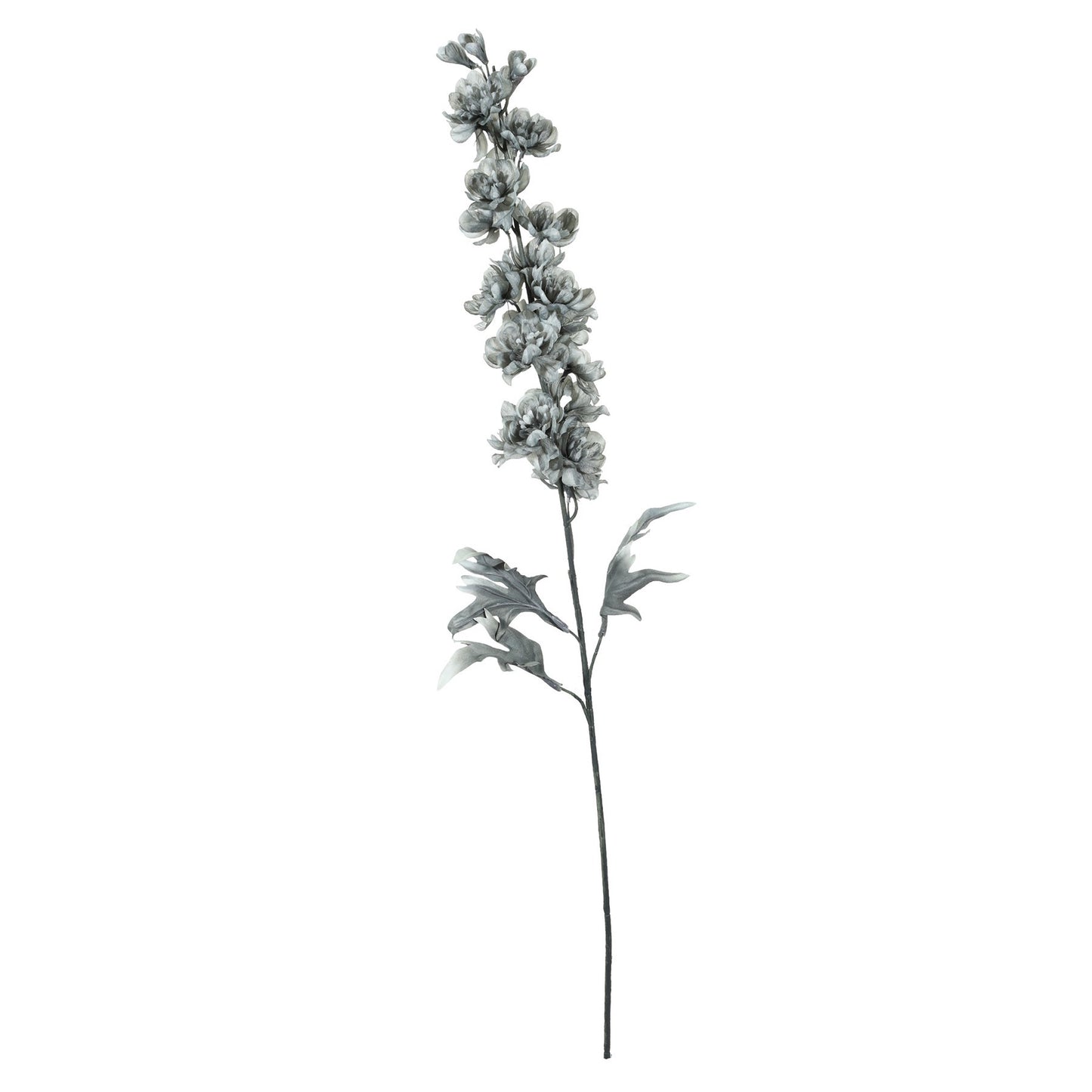 Delphinium Spray