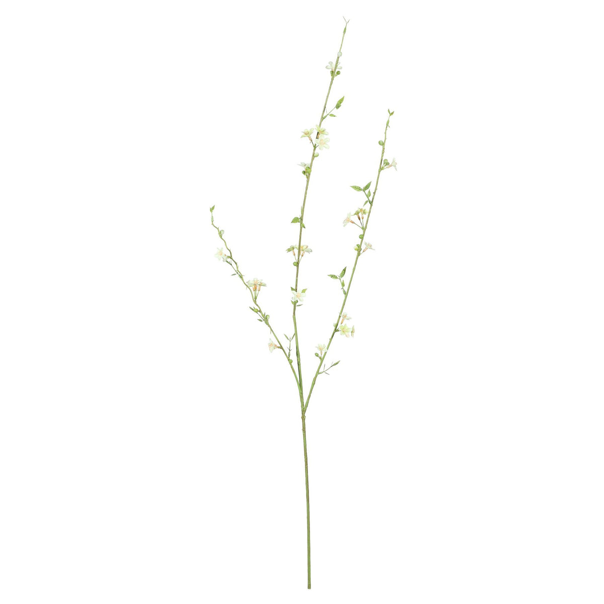 Discover the Green Mini Blossom Spray (85cm) at Bristow Direct