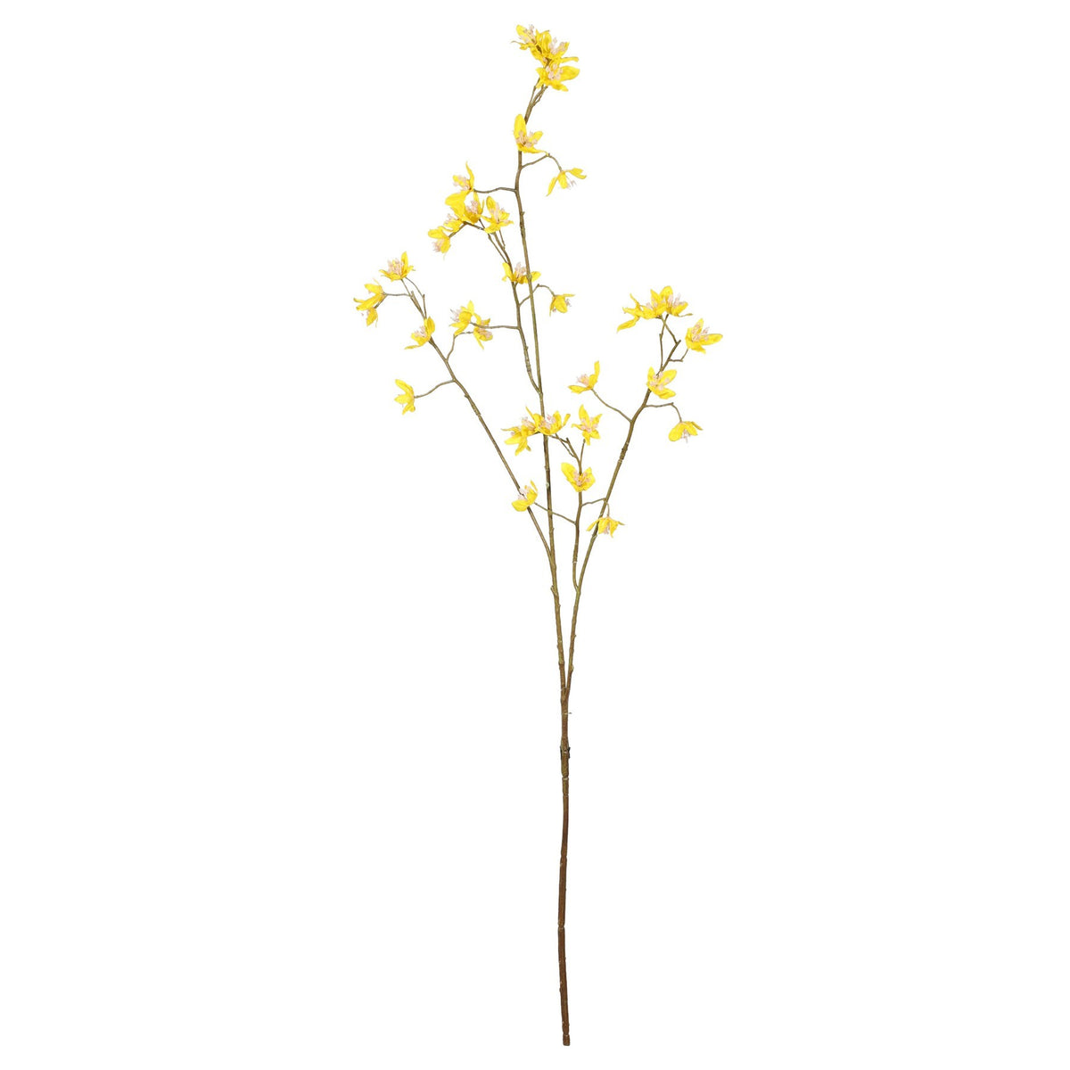 Discover the Yellow Euphorbia Spray (94cm) at Bristow Direct
