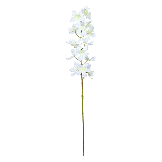Discover the Cream Dendrobium Orchid Spray (72cm) at Bristow Direct