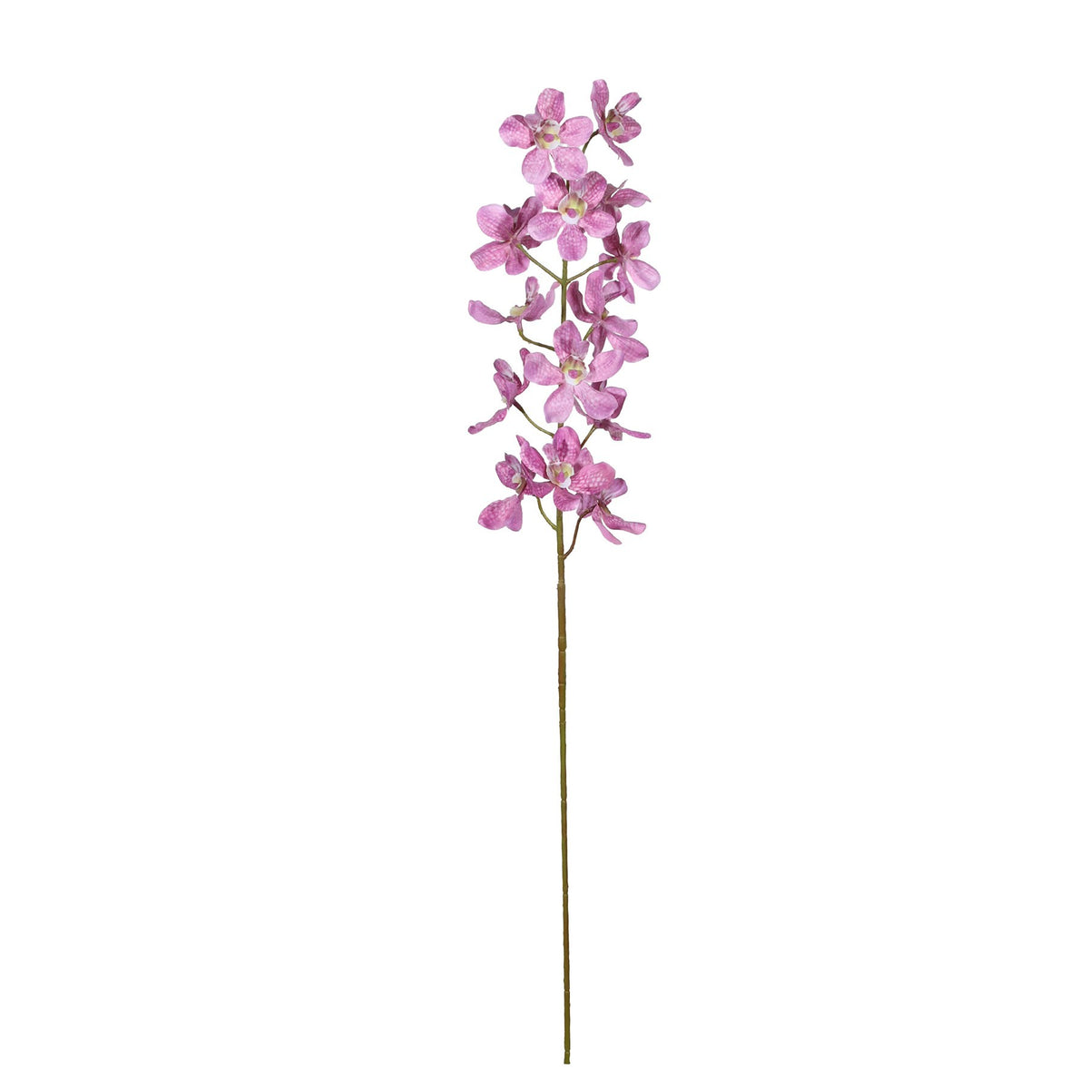 Discover the Purple Dendrobium Orchid Spray (72cm) at Bristow Direct