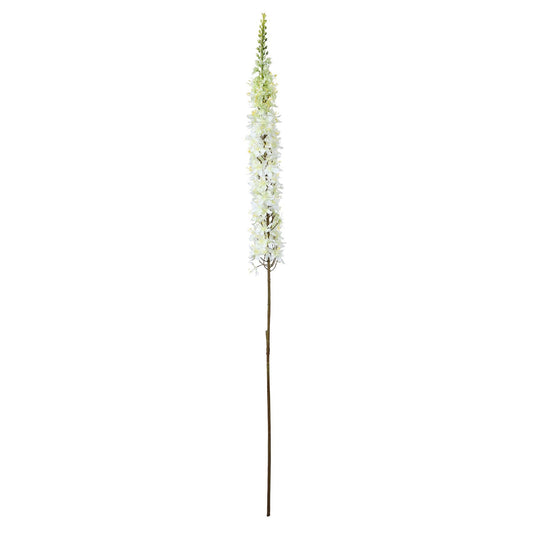 Discover the Cream Single Foxtail Lily (109cm) at Bristow Direct